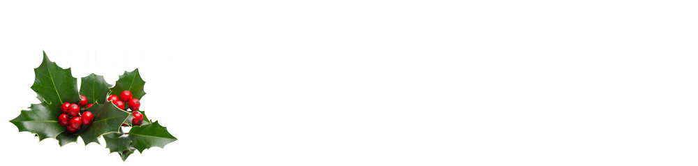 When Hope Calls Christmas